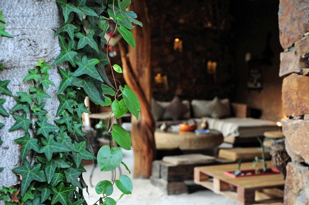 Hotel Boutique Terra Diaguita & Spa La Serena Exterior photo